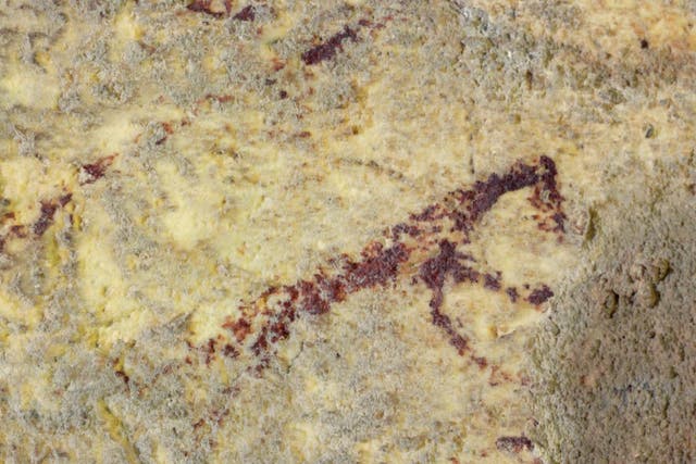 A human figure with an animal head, one of the remarkable Sulawesi cave images