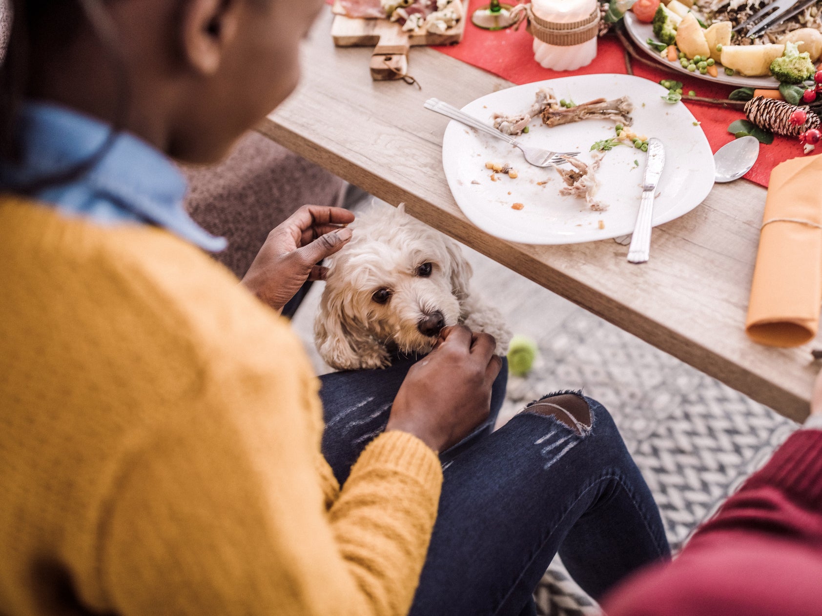 The Christmas foods you should not feed your pets at the dinner table