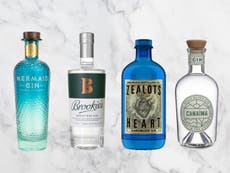 10 best new gins