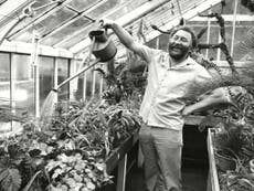 David Bellamy: Botanist and campaigner who became a household name