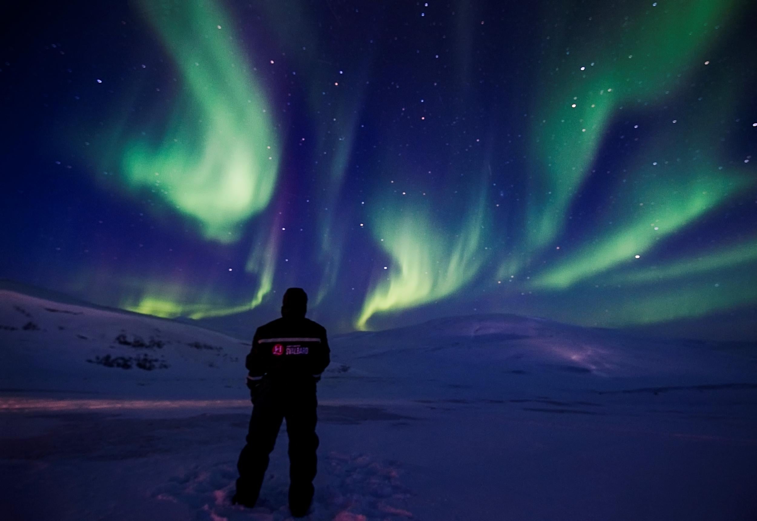 The northern lights are almost always visible during winter