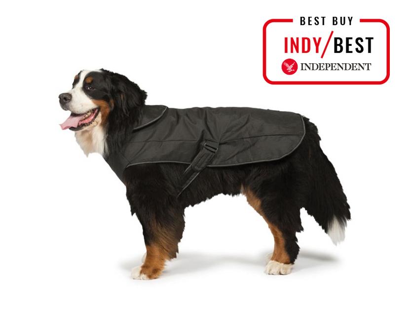 dog raincoat barbour