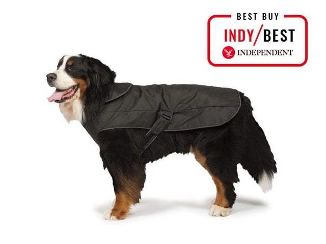 Best Dog Coats That Are Warm And Waterproof For Winter Walks The Independent