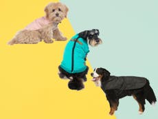12 best dog coats