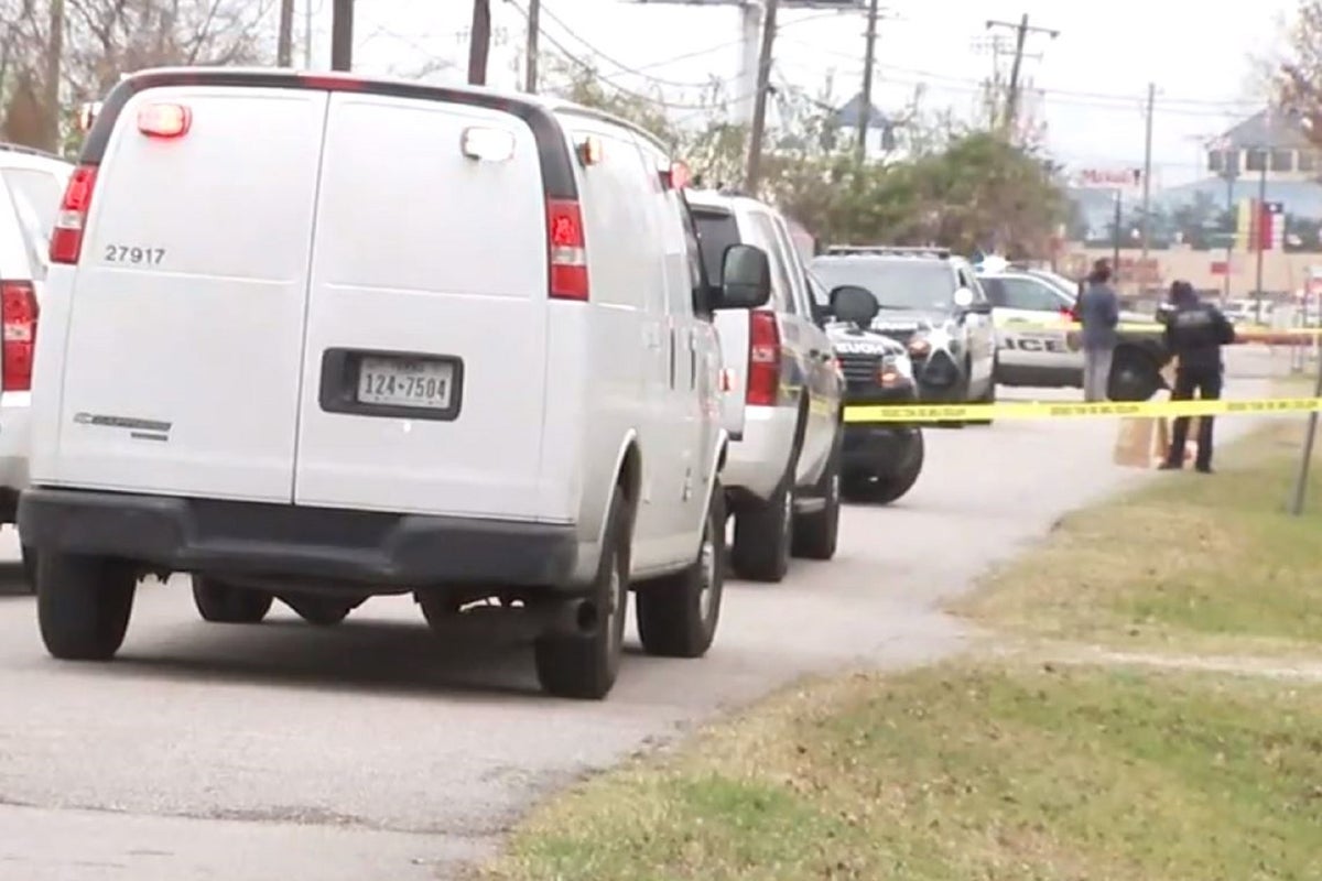 ‘Vicious dog attack’ leaves one woman dead and another severely injured ...
