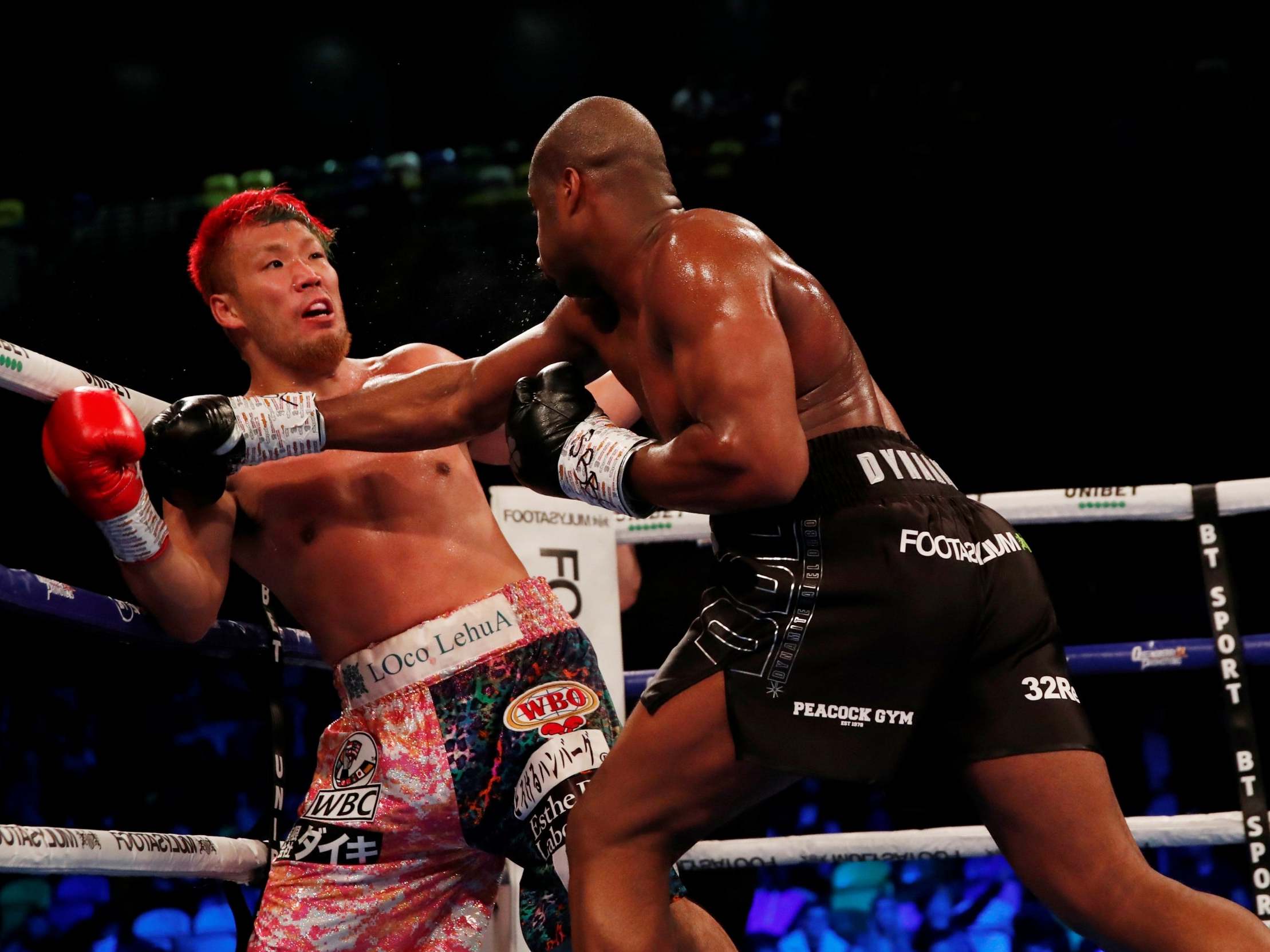 Daniel Dubois knocks out Kyotaro Fujimoto with a devastating right hand