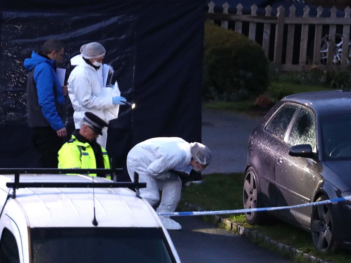 Crawley Down murders: Injured man arrested over two deaths in ‘very unstable’ condition, say police