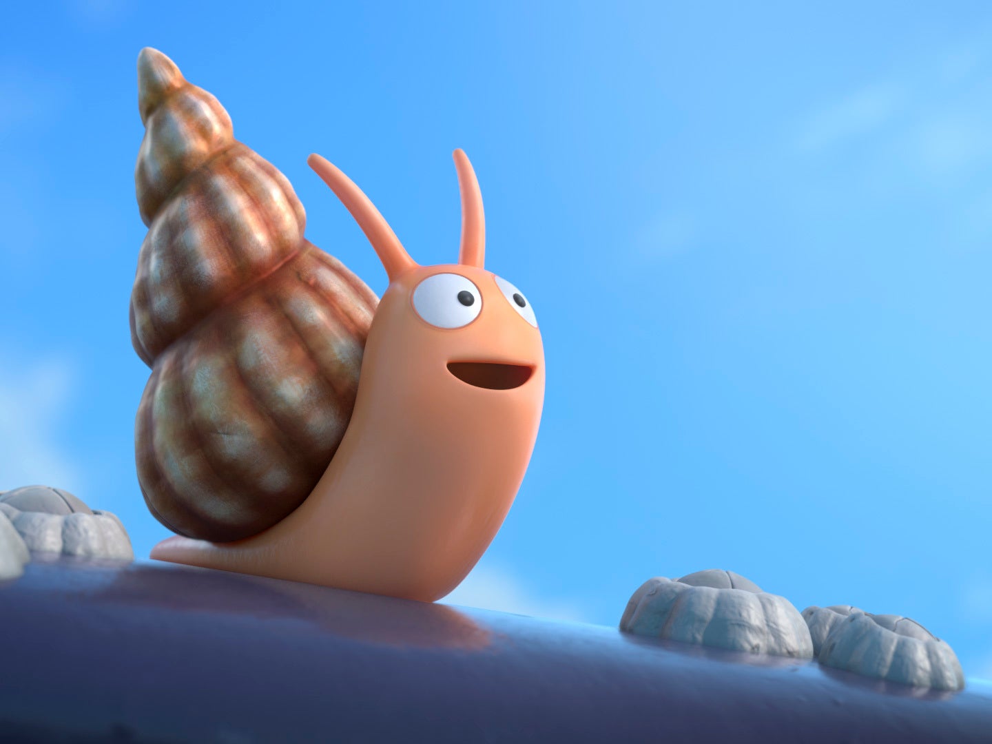 the snail and the whale