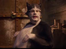 Cats removed from Oscars consideration after global panning