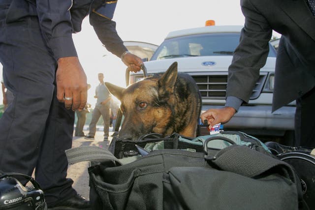 A sniffer dog is used by Egyptian security forces to check luggage