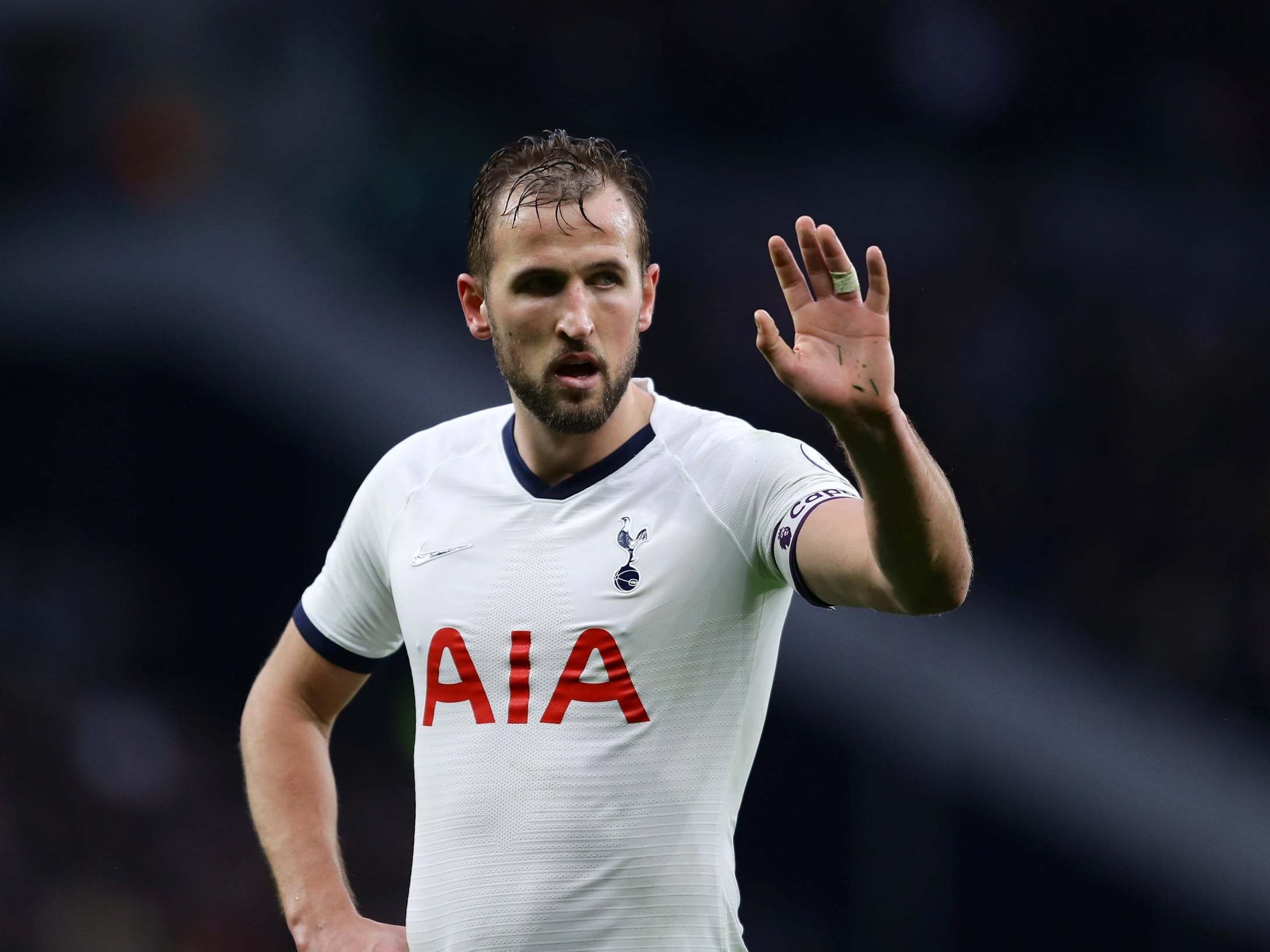 Harry Kane celebrates Tottenham's victory over Brighton