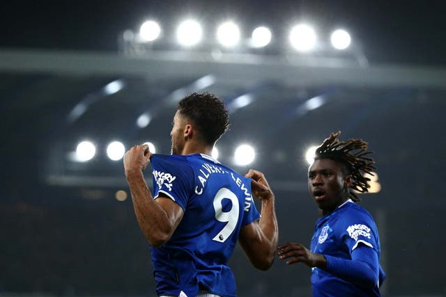 Dominic Calvert-Lewin celebrates after gifting Carlo Ancelotti a debut win for Everton