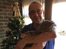 Cat that was missing for six years returns to family for Christmas