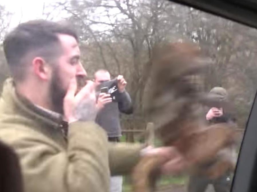 A man swings the animal's corpse in the video filmed by hunt saboteurs