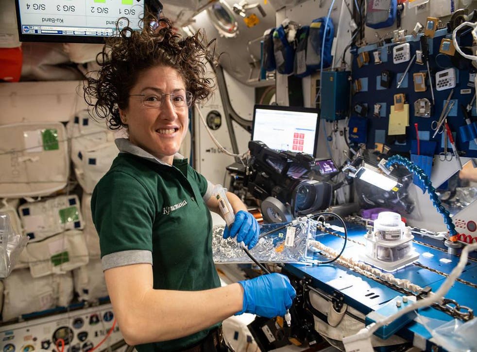 Christina Koch works on a space botany experiment during her time on the ISS