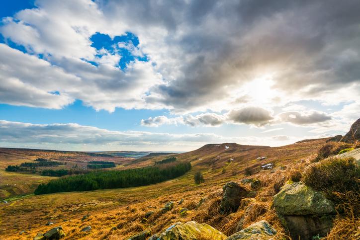 Burbage Moor is already being gently rewilded (Getty/iStock)