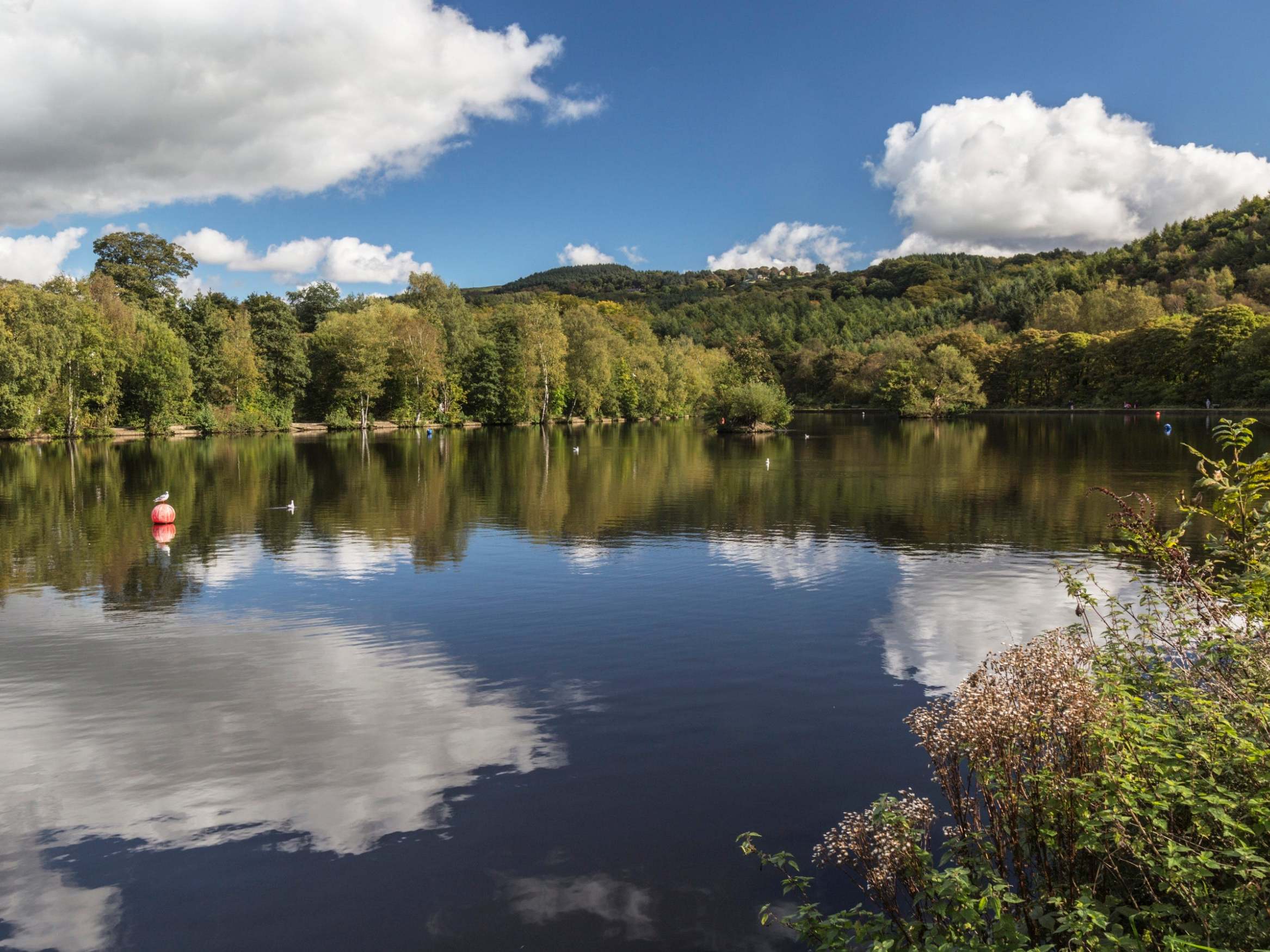 Emergency services were called to Etherow Country Park