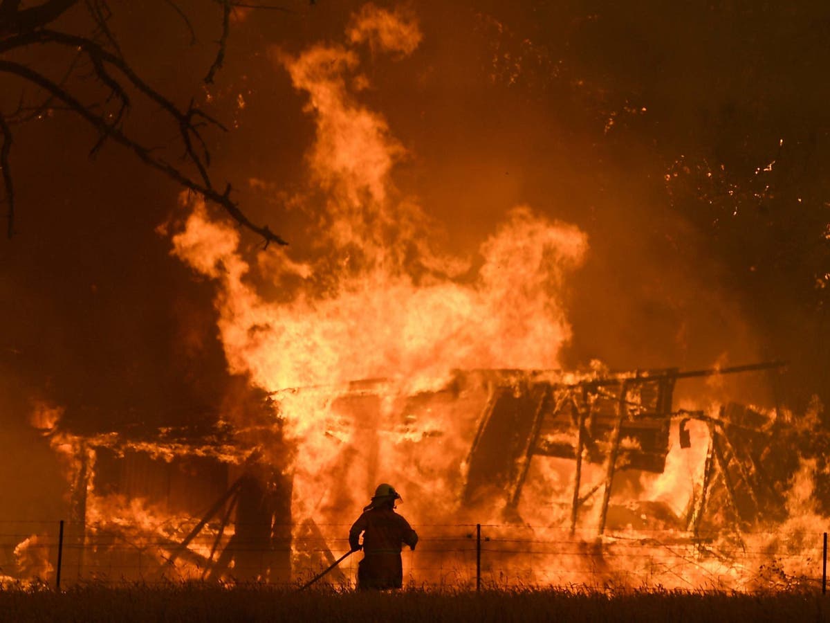 Australian wildfires: Tens of thousands told to evacuate in Victoria as bushfires intensify