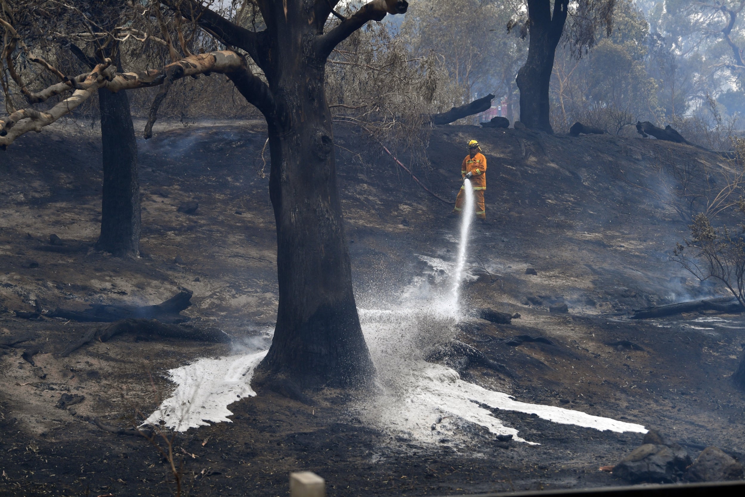 Australia fires: Volunteer firefighter dies after truck ...