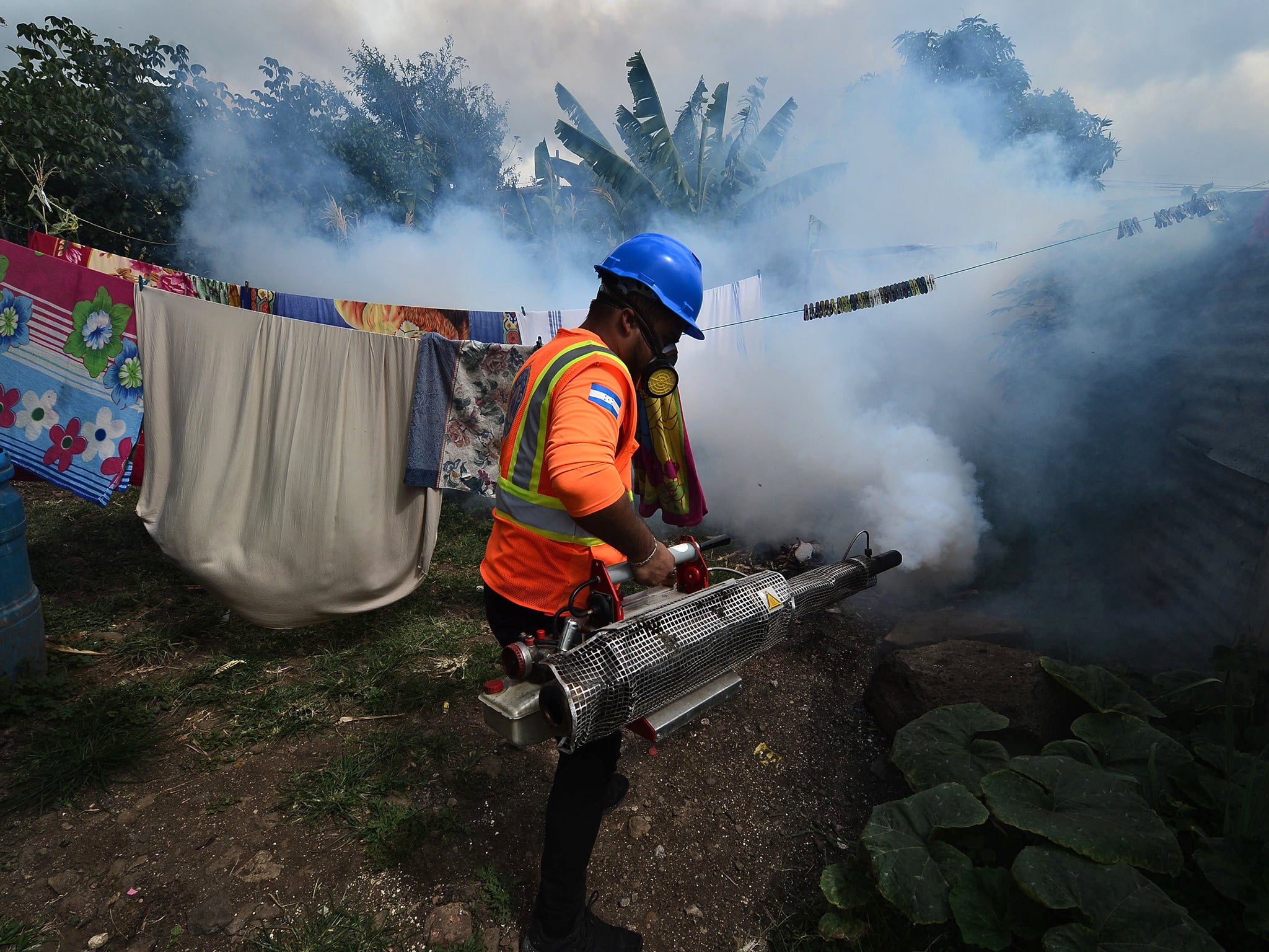 An employee of the Permanent Contingency Committee (COPECO) takes part in a fumigation operation