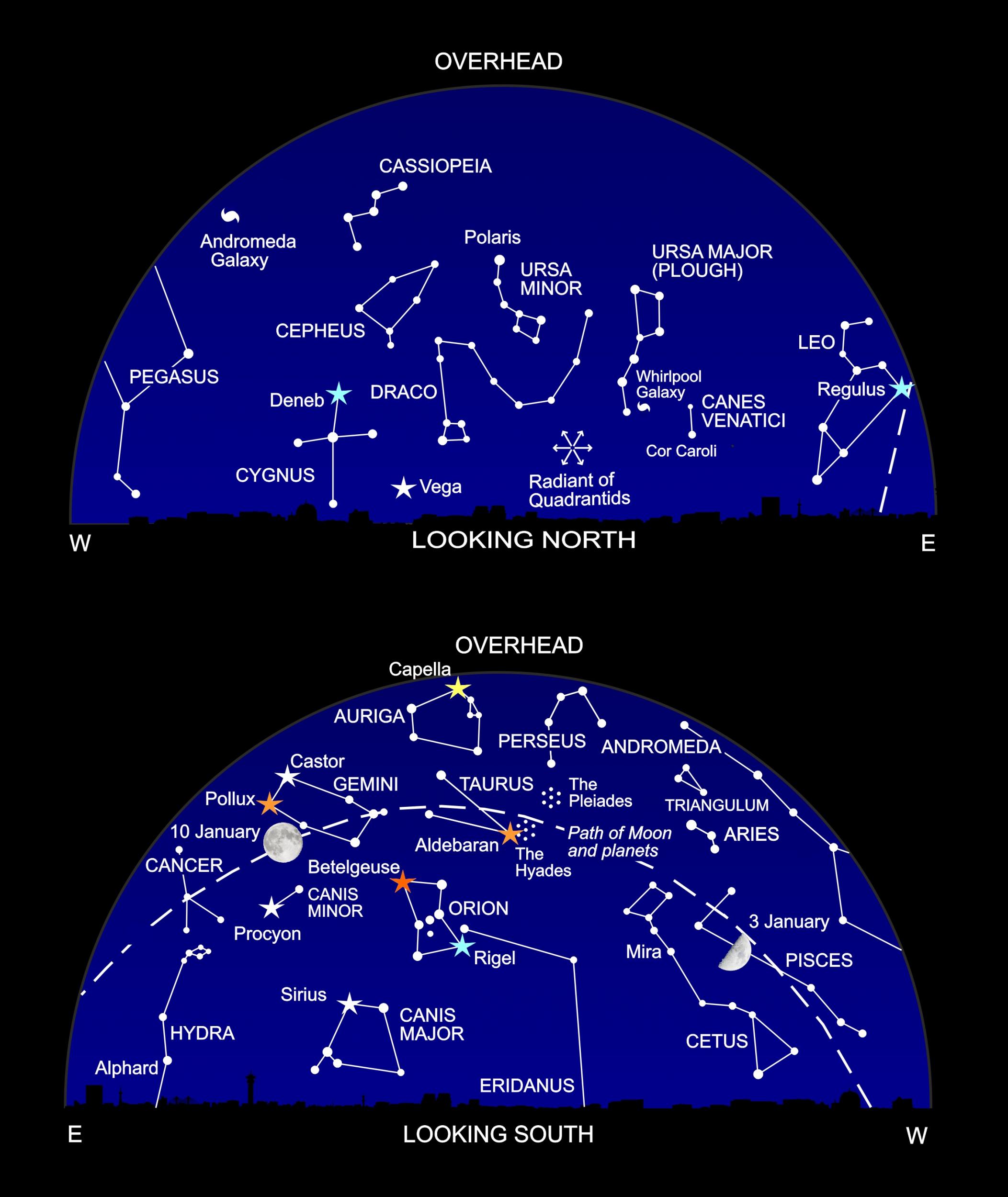 Stargazing in January The three dog constellations to see this