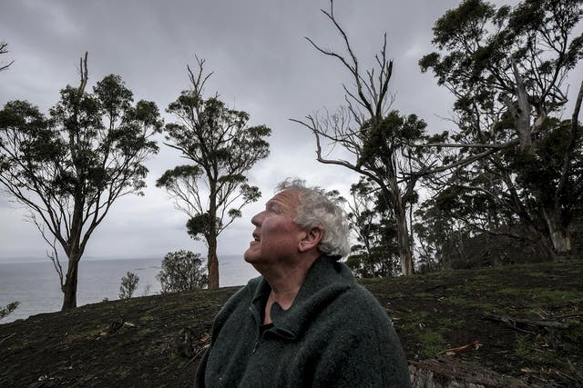 Rodney Dillon, 63, on indigenous land in Bruny Island, Tasmania. Dillon, who hunts for abalone nearby, said the area used to be filled with giant kelp