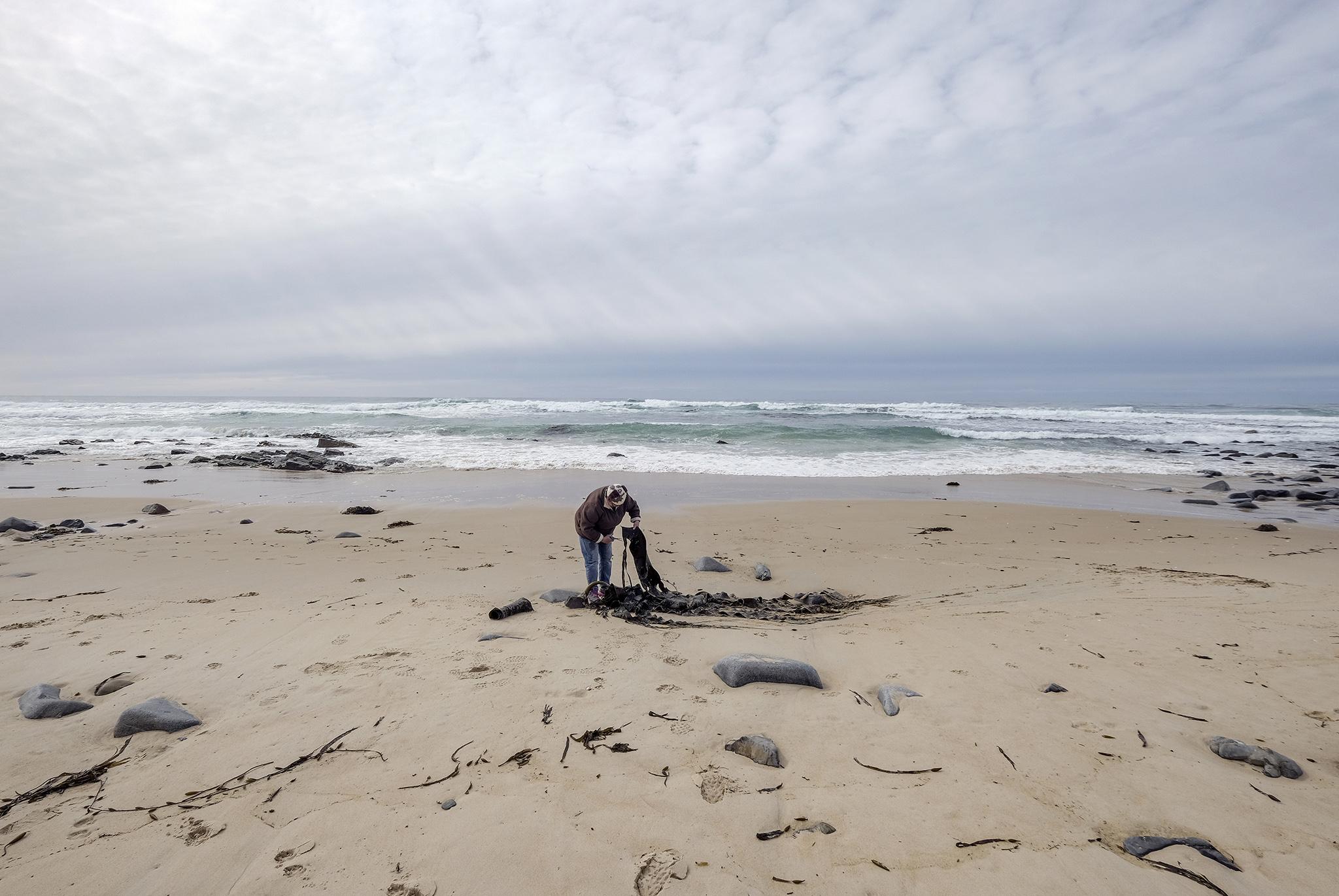 Patsy Cameron, 72, collects kelp at Shelly Point in Beaumaris, Tasmania