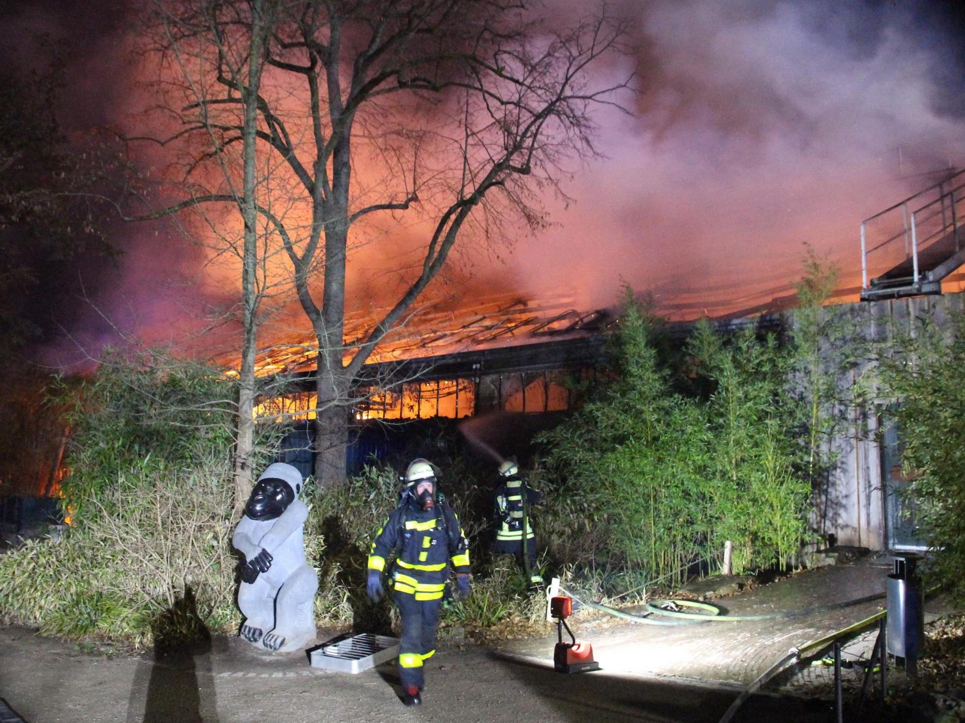Police and firefighters responded to reports of a fire at the zoo’s monkey house shortly after midnight on New Year’s Day