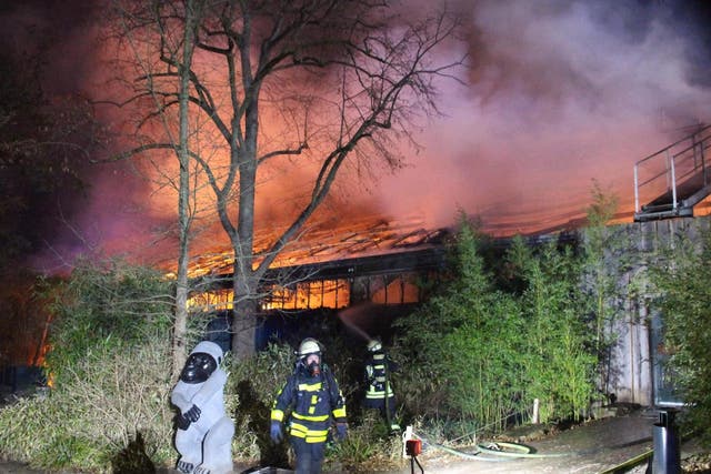Police and firefighters responded to reports of a fire at the zoo’s monkey house shortly after midnight on New Year’s Day