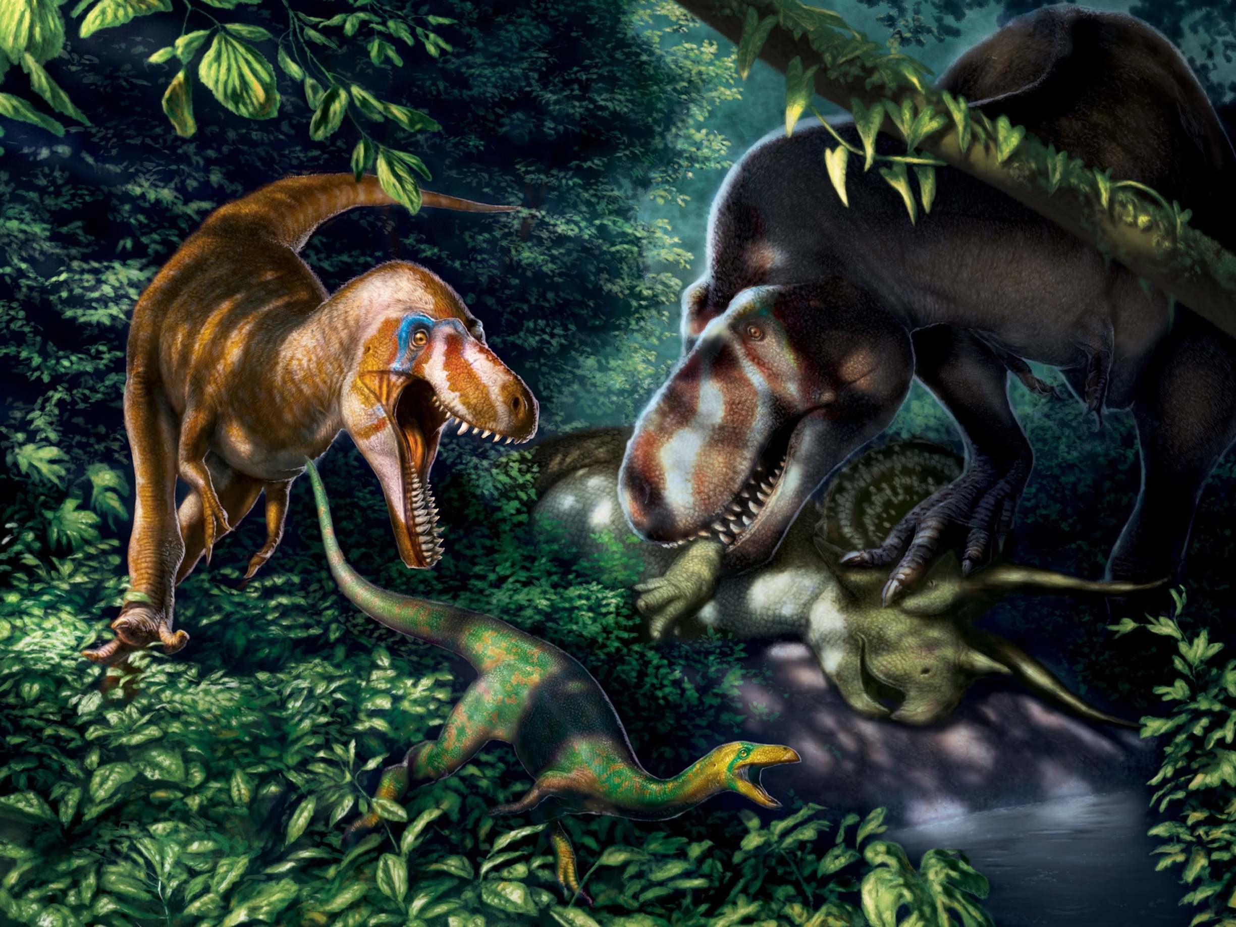 Illustration of the juvenile T rex dinosaurs, quite unlike their lumbering adult counterparts