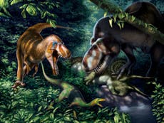 Newly examined ‘teenage’ Tyrannosaurus rex bones reveal how dinosaur became the ultimate monster