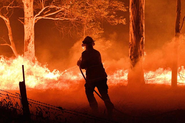 A firefighter hosing down trees and flying embers to try to save nearby houses from bushfires in New South Wales