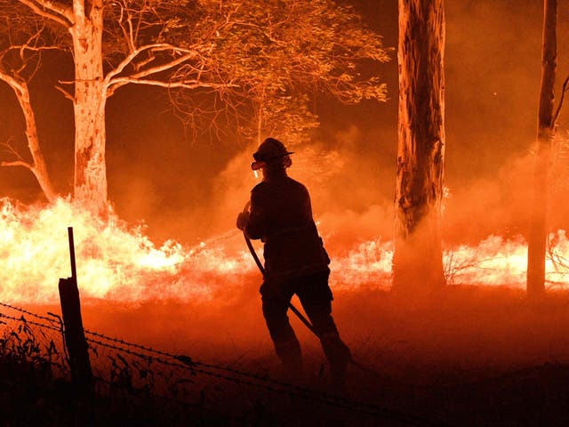 A firefighter hosing down trees and flying embers to try to save nearby houses from bushfires in New South Wales