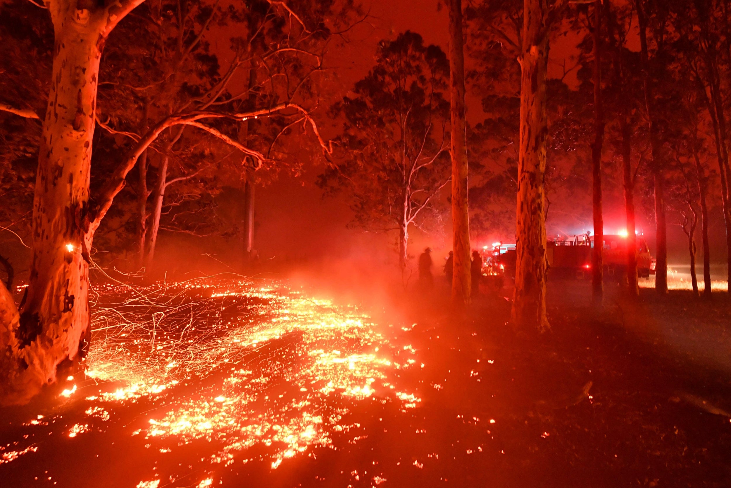 Australia fires emergency must be tackled urgently... Australia Shotoe