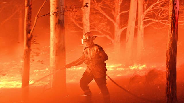 Australia Wildfires Half A Billion Animals And Plants Killed As Glaciers Turn Black The Independent The Independent