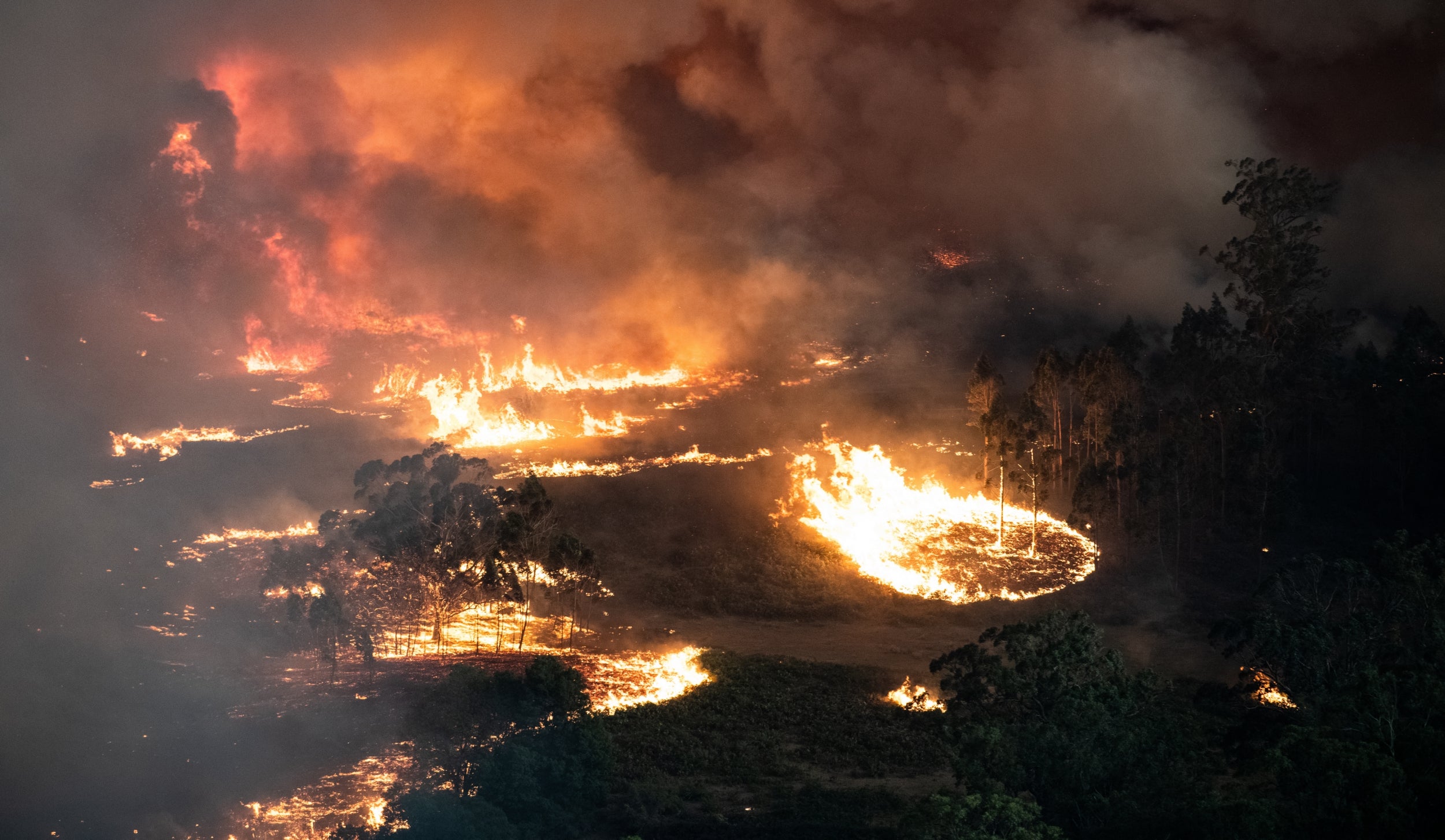 Image result for australia fires