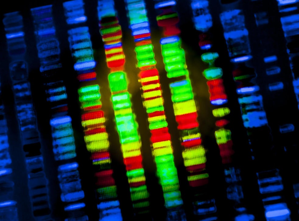 Testing For Gene Mutations Diagnosing Lung Cancer Cancer Research Uk