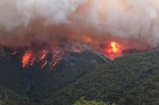 Australia’s wildfires will rage on if Morrison remains complacent