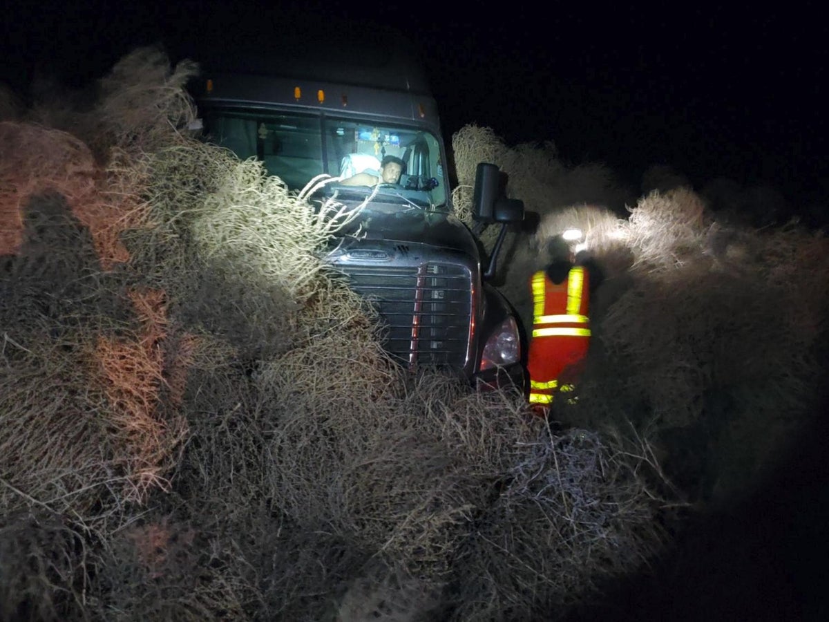 Scientists Plan to Kill Off the American West's Tumbleweeds, Smart News