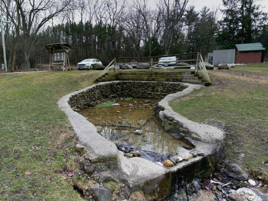 School teacher defecated in public park 'several times per day' for two years