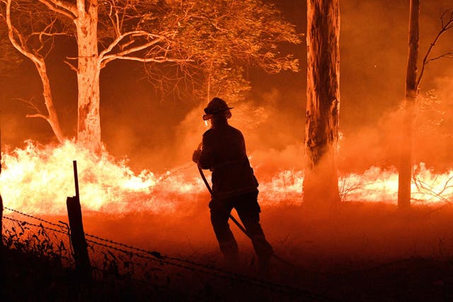 A firefighter hoses down trees and flying embers in an effort to secure nearby houses from bushfires near the town of Nowra, New South Wales