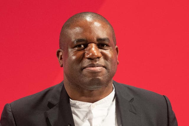 David Lammy says he wants to make a 'full contribution' to the task of uniting Labour after its crushing election defeat