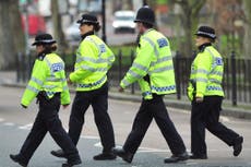 20,000 new officers will not solve UK’s crime problems – police chief