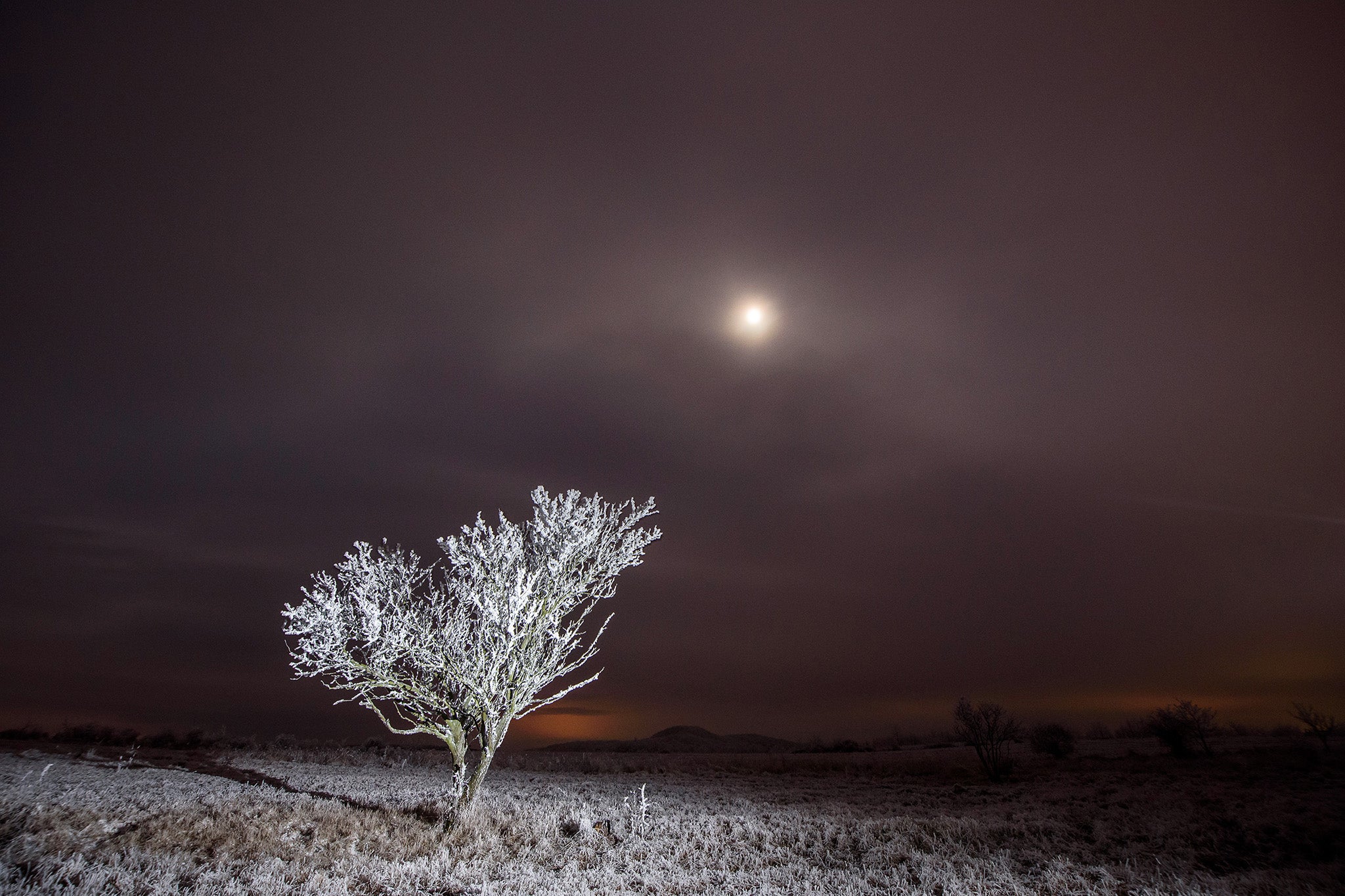 UK weather: Temperatures plummet to -7C as fog descends across parts of country