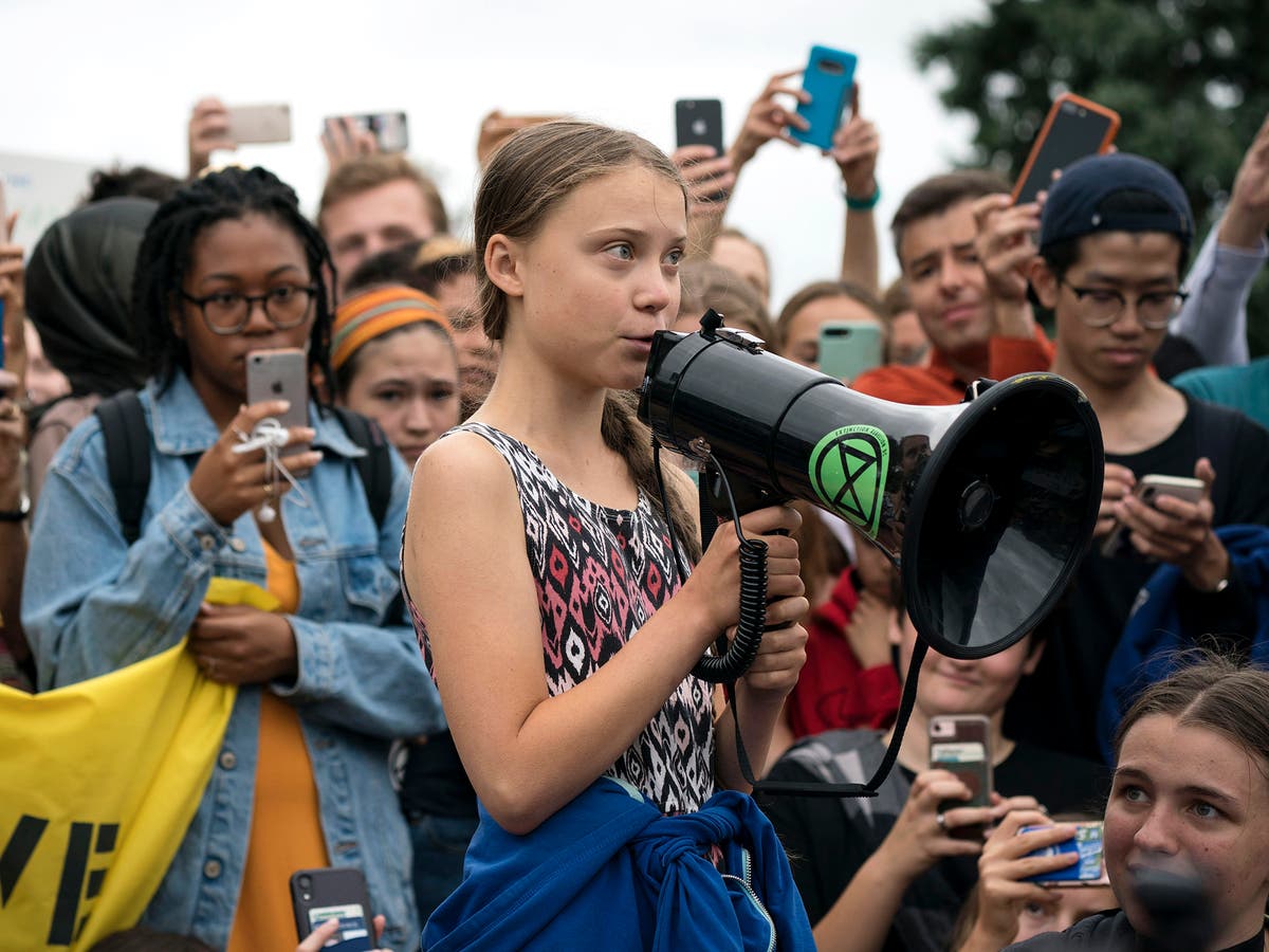 Greta Thunberg impersonator tricks congresswoman with hoax call: ‘I am really very proud of you’