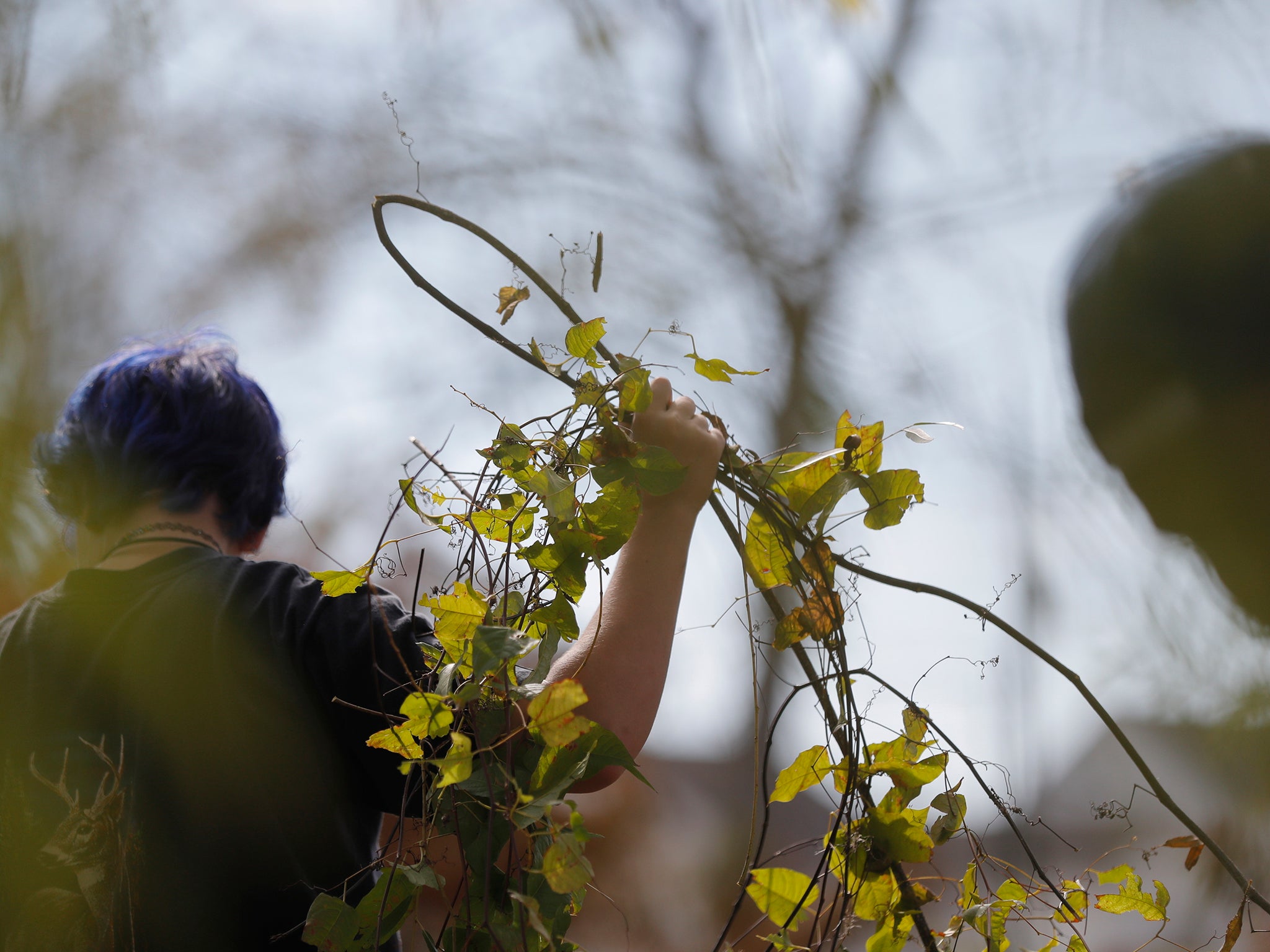 Students are encouraged to go on field trips and volunteer to learn for about the environment