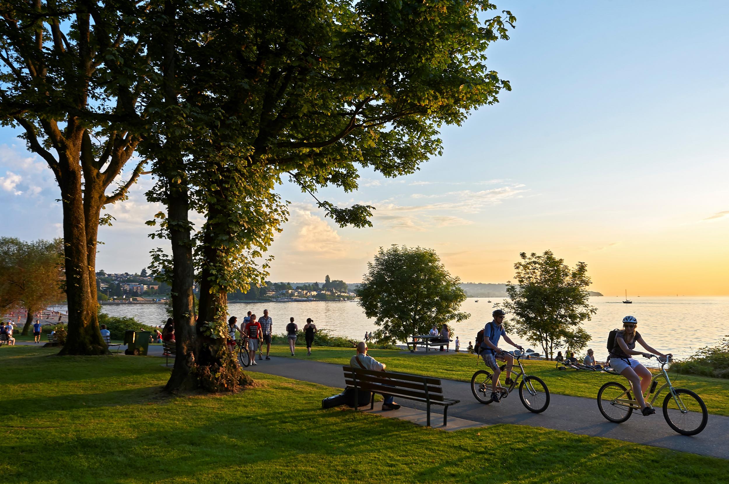 Summer in Vancouver's Stanley Park