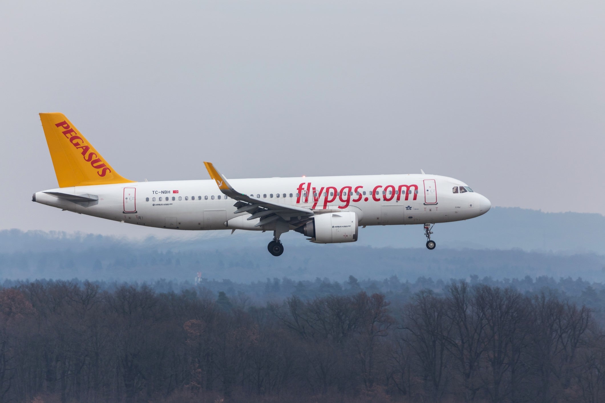 Plane skids off runway in Istanbul, shutting airport