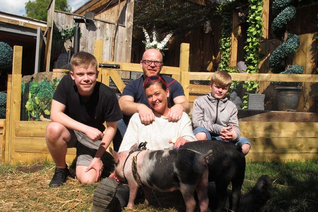 John, Dawn, Sam (15) and Max (11) adopt pigs for three weeks to see if it changes their eating habits