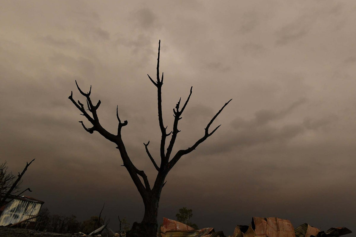 I'm doing what the Australian government won't – telling the truth about the climate crisis